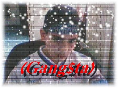 Gang$ta