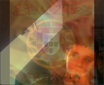 R-ZOR version portugal